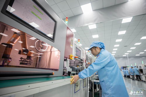 安徽合肥 汽車電子研發生產忙，計算機軟件技術服務賦能產業新生態